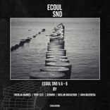 Artwork for "Ecoul Snd V.a 6"