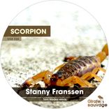 Artwork for "Scorpion"