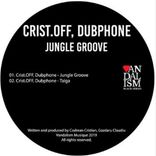 Artwork for "Jungle Groove"