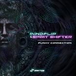 Artwork for "Funky Connection"