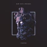 Artwork voor "Vortex"