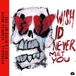 Artwork voor "Wish I'd Never Met You"