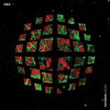 Artwork for "Nucleus"