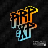 Artwork for "What We See / Surrounded"