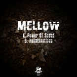 Portada para "Power of Sound / Hallucinations"