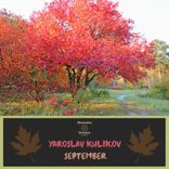 Artwork für "September"