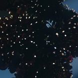 Portada para "No plot, just vibes"