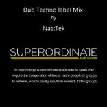 Artwork für "Dub Techno Label Mix"