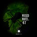 Artwork for "Wicked Waves Vol. 47"