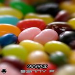 Portada para "Candy House"