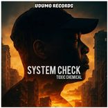 Artwork for "System Check"