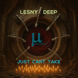 Artwork voor "Just Cant Take"