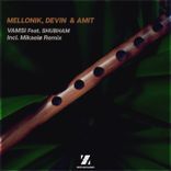 Portada para "Vamsi"