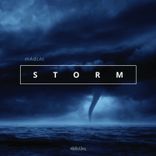 Artwork für "Storm"