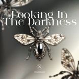 Artwork für "Looking in the Darkness"