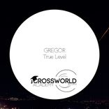 Artwork voor "True Level"