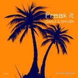 Artwork for "Freak It"