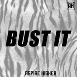 Artwork for "Bust It"