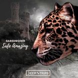 Portada para "Safe Amazing"