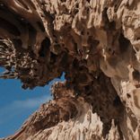 Artwork for "Attention"