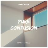 Artwork for "Pure Confusion"