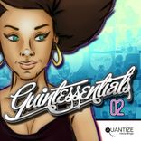 Artwork voor "Quantize Quintessentials Volume 2"