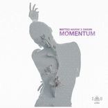 Artwork for "Momentum"