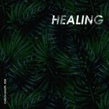 Portada para "Healing EP"