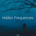 Artwork for "Hidden Frequencies"