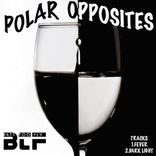 Artwork for "Polar Opposites"