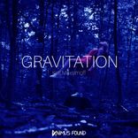 Portada para "Gravitation"