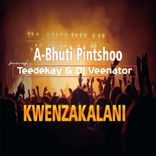 Artwork for "Kwenzakalani"