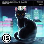 Artwork for "Black Cat"