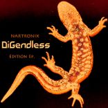 Artwork for "Digendless"