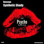 Artwork für "Synthetic Shady"