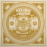 Artwork für "Jungle Strikes, Vol. 7"