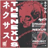 Artwork for "THE NEXUS"