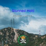 Artwork for "Stunned Hold"