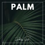 Portada para "Palm"