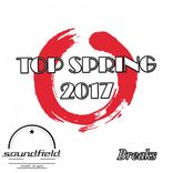 Artwork für "Breaks Top Spring 2017"