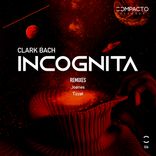 Artwork for "Incognita"