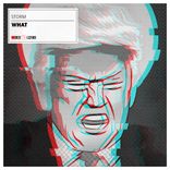 Portada para "What"