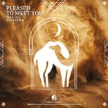 Artwork voor "Pleased to Meet You"