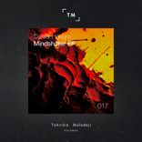 Artwork for "Mindshifter"