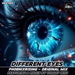 Portada para "Different Eyes"