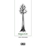 Sequoia (Prod. Egiuann)
