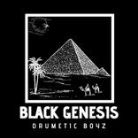 Artwork for "Black Genesis"