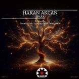 Artwork für "Spark, Pt. 4"