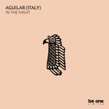 Artwork for "In the Night"