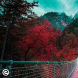 Artwork für "The Journey Begins"